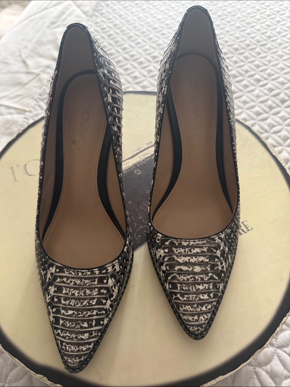 COACH croc print pointy toe pumps